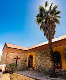 mulege church starburst palm tree